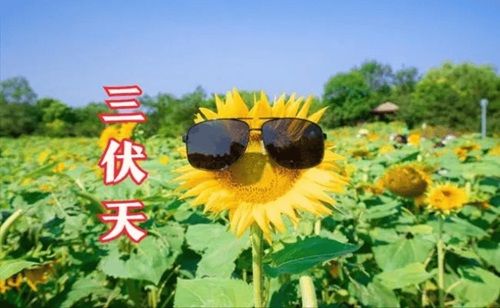 图片 1.jpg 图片 1.jpg