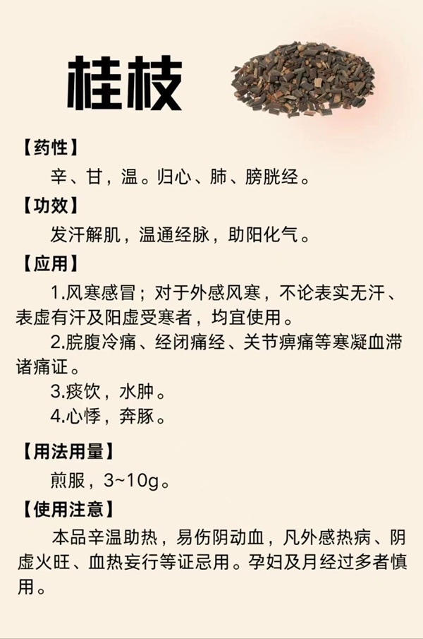 微信图片_20250228093112.jpg
