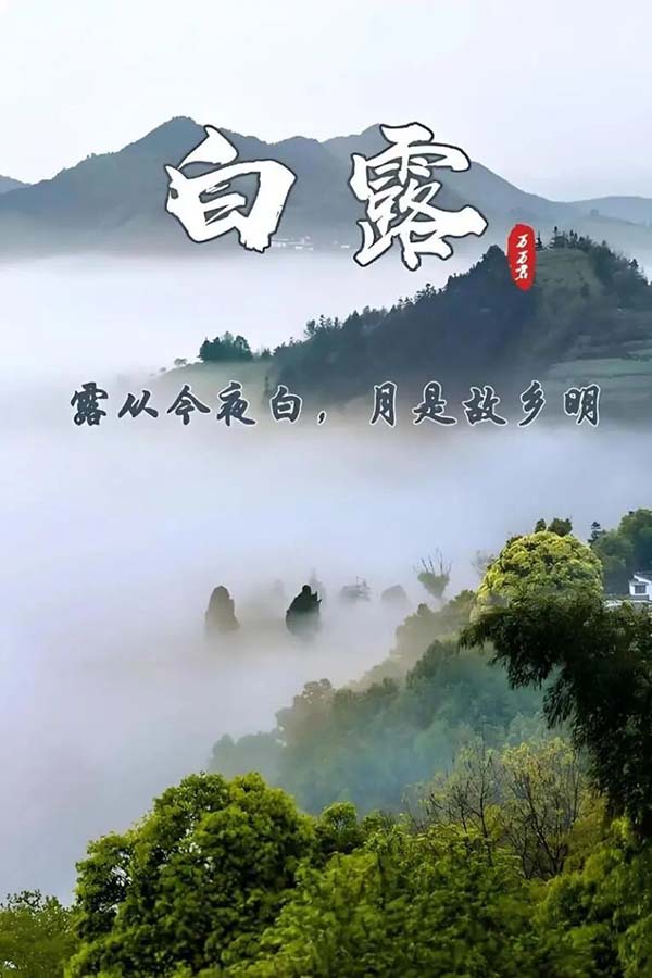微信图片_20250909105926.jpg