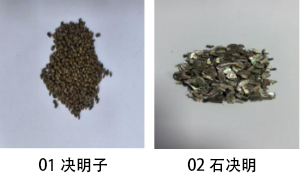 02石决明.png 02石决明.png