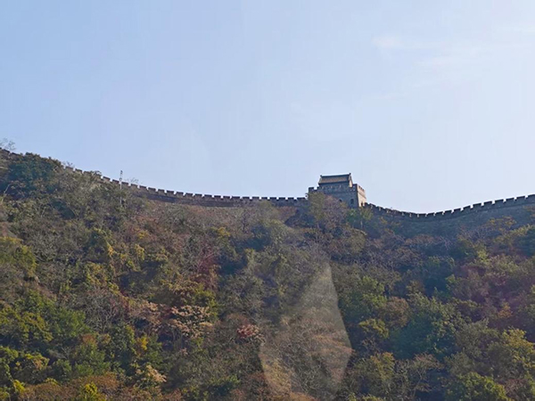 图片-1.jpg