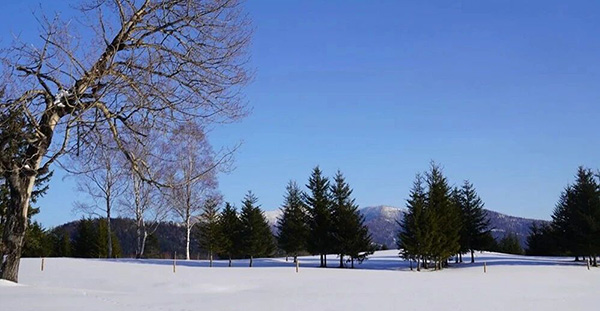 DM_20251124094703_001.jpg