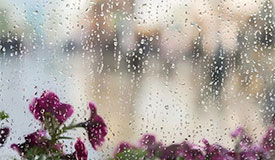 健康促进丨雨寄哀思，春启新程
