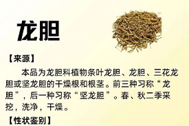 每周一药丨清热药丨龙胆