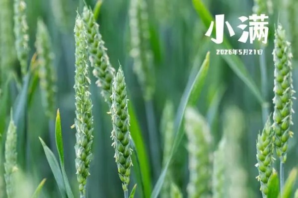健康促进丨小得盈满，夏意渐浓