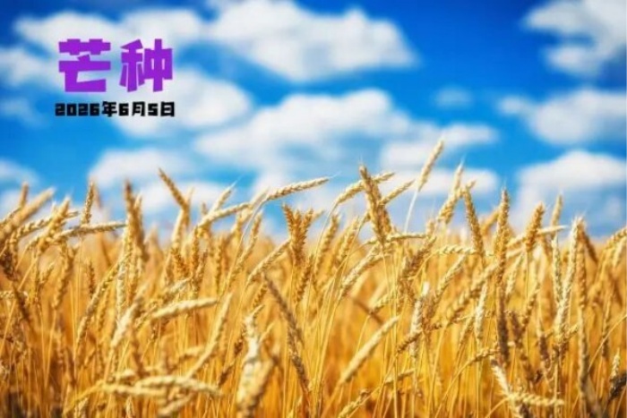 健康促进丨时雨及芒种，四野皆插秧